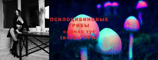 дживик Абинск