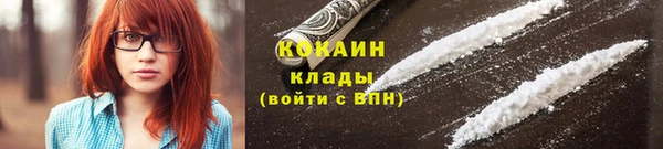 шишки Нягань