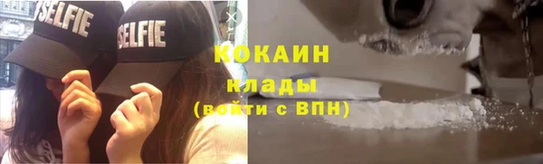 шишки Нягань