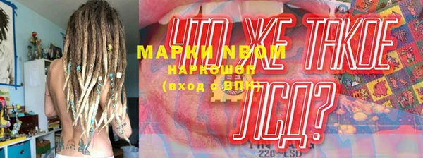 шишки Нязепетровск