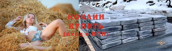 дживик Абинск